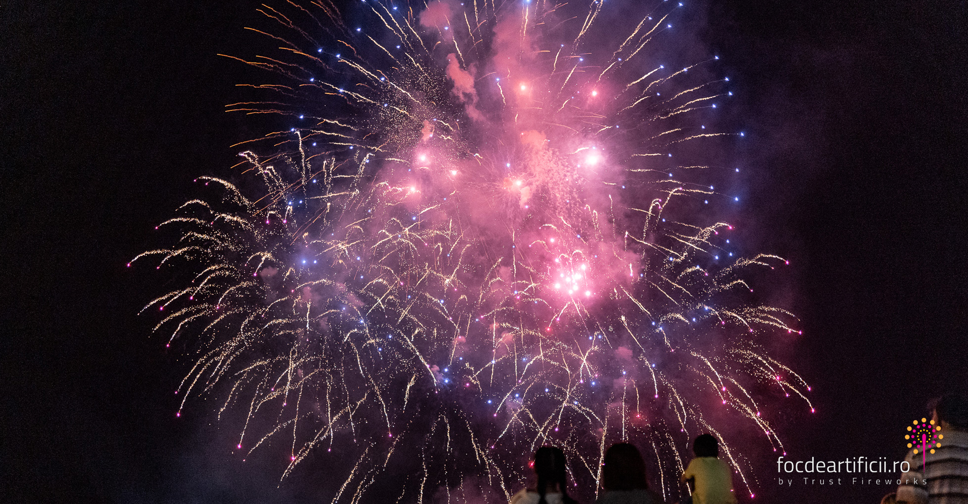 artificii Tulcea 2023